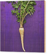 Parsnip Root Vegetable Wood Print