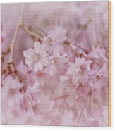 Pastel Pink Wood Print