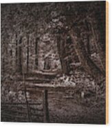 Path In Forest #i0 Wood Print