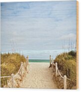 Path To The Sandy Beach Wood Print