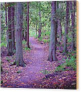 Pathway Wood Print