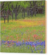 Pattern Of Texas Paintbrush Wood Print