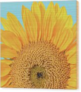 Patterns Of Yellow Sunflower On Blue Wood Print
