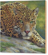 Peaceful Jaguar Wood Print