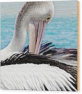 Pelican Beauty 99920 Wood Print