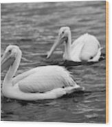 Pelicans - Duck Pond, Plainview, Texas Wood Print