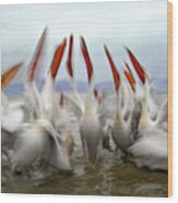 Pelicans In Slow Motion Wood Print