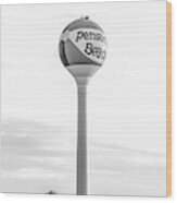 Pensacola Beach Ball Water Tower Black And White Photo Wood Print