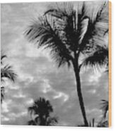 Photo 53 Palm Trees Wood Print