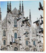 Pigeons In Flight Against Duomo Wood Print