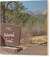 Pike National Forest Wood Print