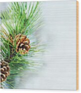 Pine Cone On Fir Tree Brunch Under Snow Wood Print