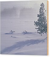 Pine Tree In Deep Snow Wood Print