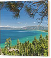 Pine Trees, Lake Tahoe, California, Usa Wood Print