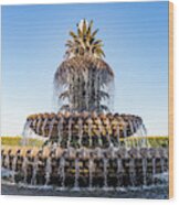 Pineapple Fountain Wood Print