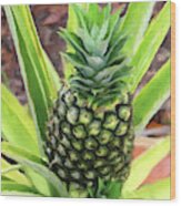 Pineapple Wood Print