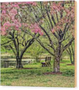 Pink Blossoms In Greenwich Connecticut Wood Print