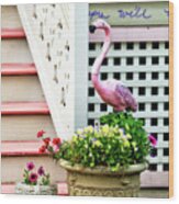 Pink Flamingo At The Shore House In Ocean Grove New Jersey Wood Print