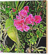 Pink Flowers Of Peaceful Flow Wood Print