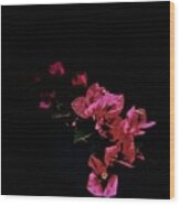 Pink Flowers With Dark Background Wood Print