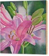 Pink Lily With Buds Wood Print