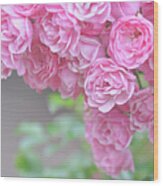 Pink Roses Wood Print