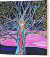 Pink Sky Rainbow Tree #4371 Wood Print