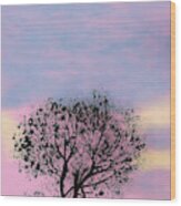 Pink Sunset Wood Print