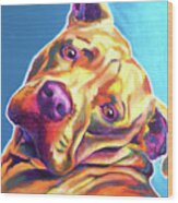 Pit Bull - Dozer Wood Print