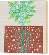 Plant With Roots In Soil Wood Print