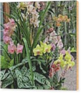 Plentiful Orchids Wood Print