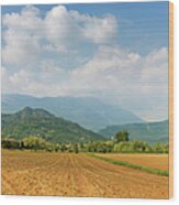 Plowed Field And Distant Mountains Wood Print