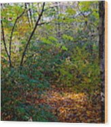 Poconos Forest Autumn View Wood Print