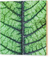 Poinsetta Leaf In Abstract Macro Wood Print