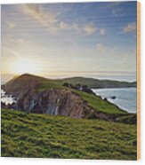 Point Reyes National Seashore At Sunset Wood Print