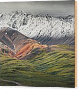 Polychrome Mountain, Denali Np, Alaska Wood Print