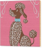 Poodle Sitting Wood Print