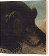 Portraits Of A Grizzly Bear And Mouse, Life Size Wood Print