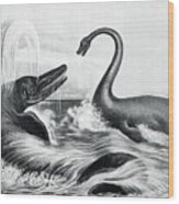 Prehistoric Creatures In Water Wood Print