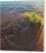 Prince Edward Island Sand Glow Wood Print