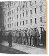 Prisoners Lined Up In Striped Uniforms Wood Print
