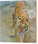 Prowling Tiger Wood Print