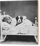 Puppies In Bed - When Bedtime Comes - Harry Whittier Frees Wood Print