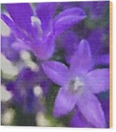 Purple Campanula Flowers Wood Print