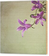 Purple Flowers Wood Print