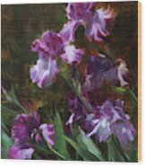 Purple Irises Wood Print