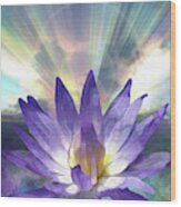 Purple Lotus Wood Print
