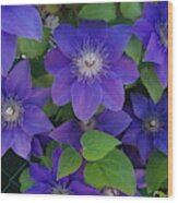 Purple Perennials Wood Print