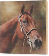 Quarter Horse Portrait Wood Print