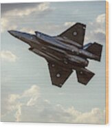 Raaf F-35a Lightning Ii Joint Strike Fighter Wood Print